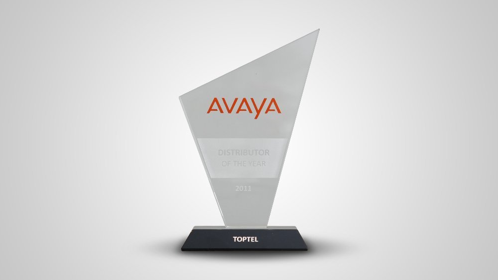 In 2014, we were honored with the Best Distributor award by Avaya.