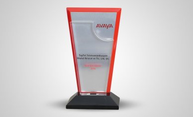 In 2014, we were awarded the Best Distributor award by Avaya.
