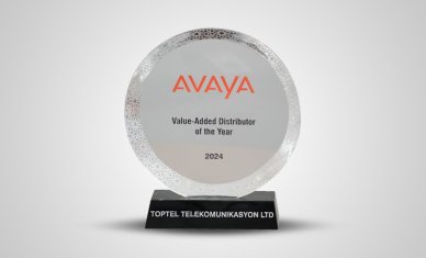 In 2024, we were honored with the Value-Added Distributor of the Year award by Avaya.