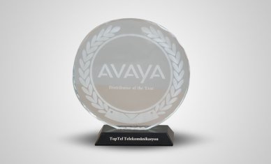 We were honored with the Best Distributor award by Avaya.